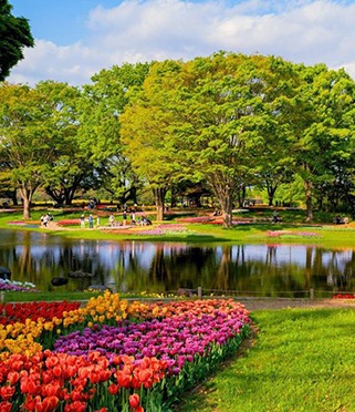 PERADENIYA BOTANICAL GARDENS