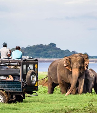 YALA NATIONAL PARK